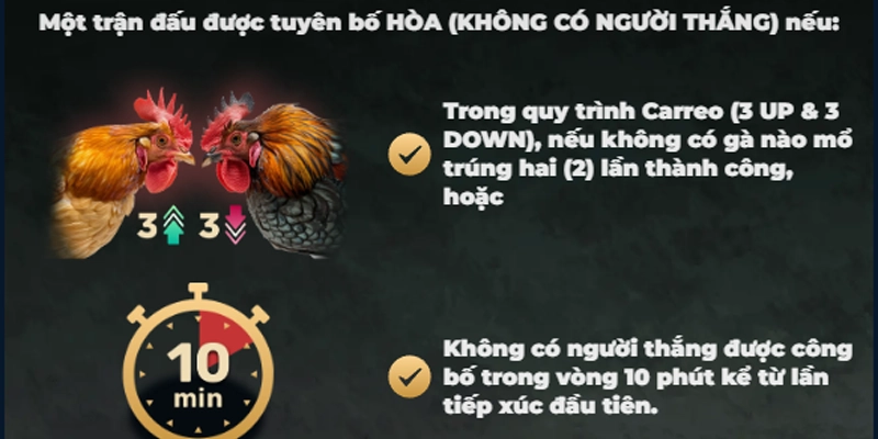 Hướng dẫn cách tham gia và đặt cược đá gà Sv388 live