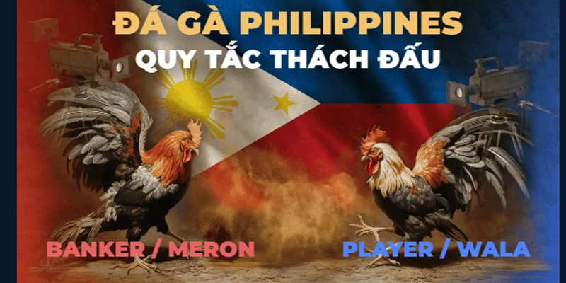 Những ưu điểm vượt trội của đá gà Sv388 live
